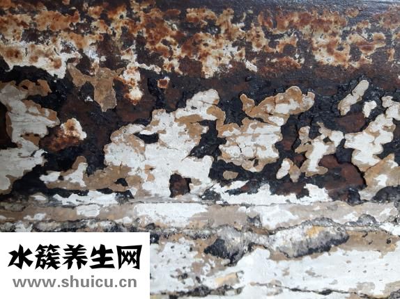 冬天脚痒怎么治