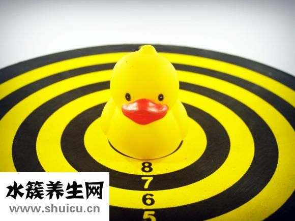 小鸭是怎么孵出来的