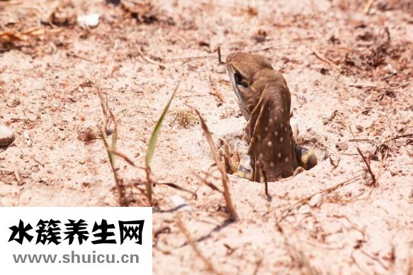 冬天脚痒怎么治