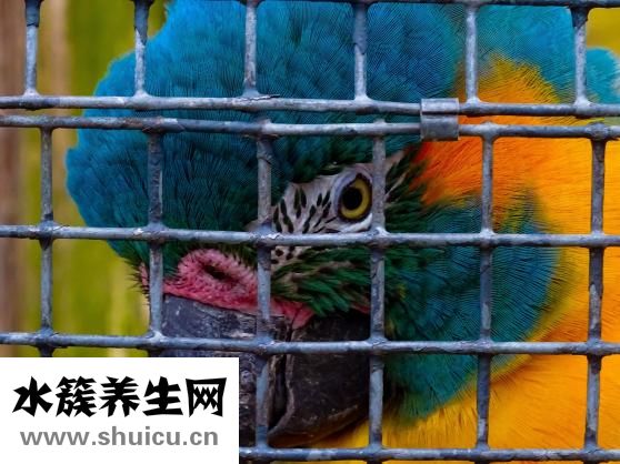 怎么勾花边