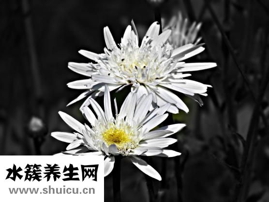 怎么勾花边