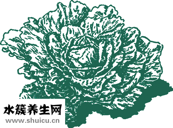 蛋清虾仁怎么做