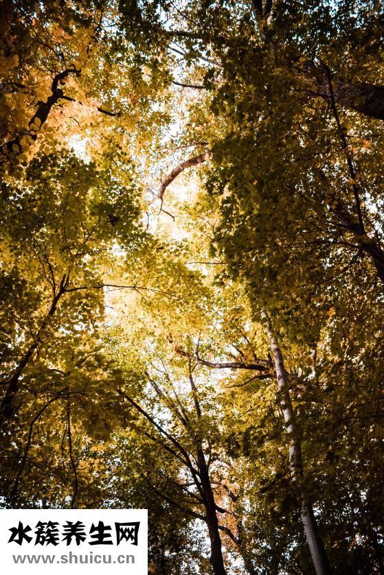 去海边玩手机怎么办