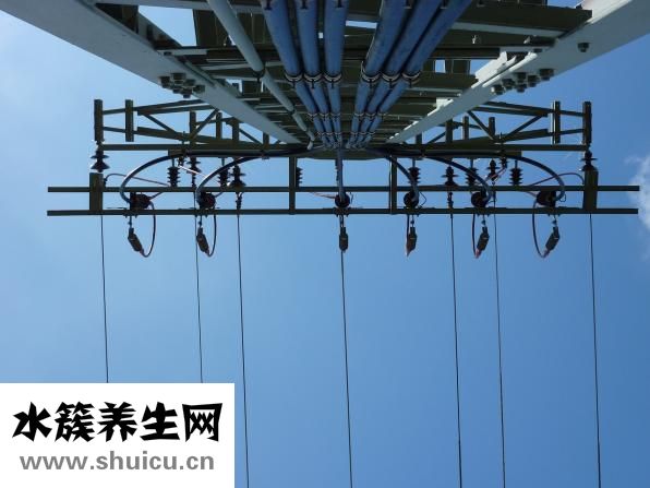 法压壶怎么泡茶