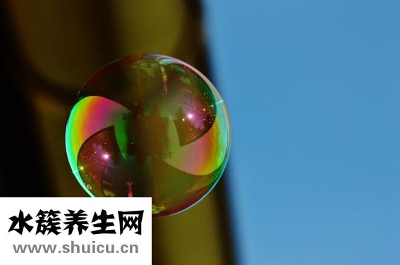 牛苍蝇叮咬怎么处理