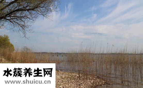 头皮出油怎么办？根据发病原因选择治疗方法