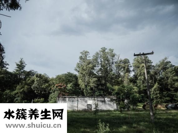 手部皮肤干燥怎么办