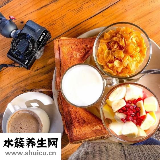 怎么让金丝熊石化