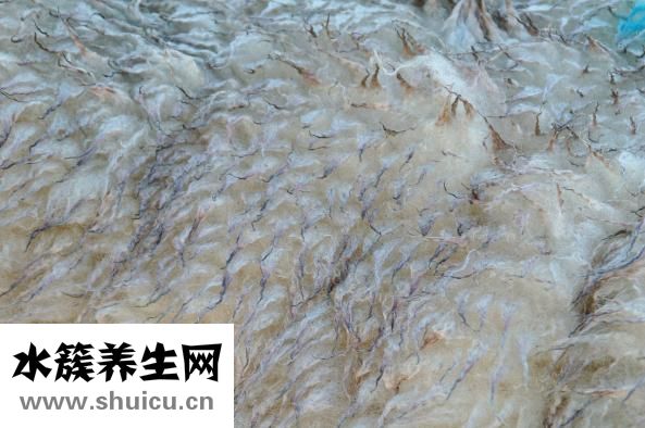 无印良品浴盐怎么用