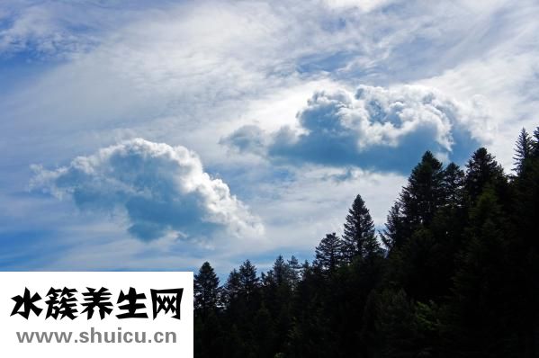 口嗅怎么治