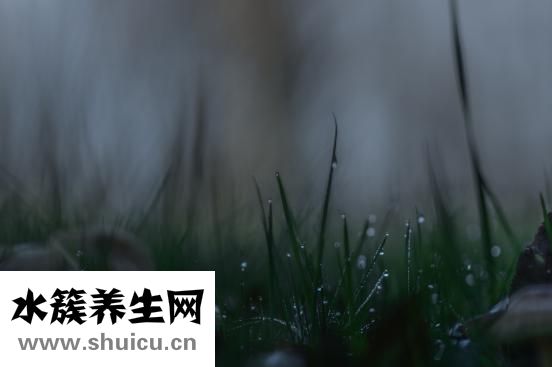 左太阳穴疼怎么办