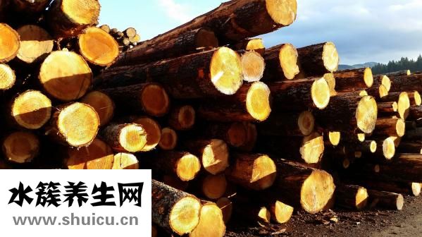 枸橼怎么念