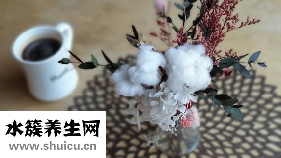 做完月子后怎么减肥