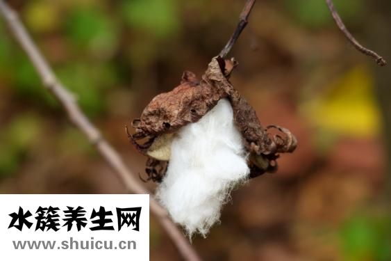 睫毛膏卸不掉怎么办
