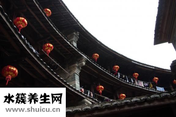 鸟笼怎么用
