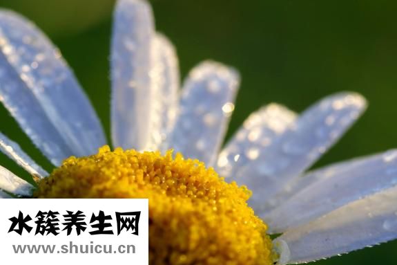 冬天脚痒怎么治