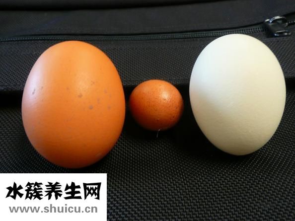 海鲜酱油怎么调