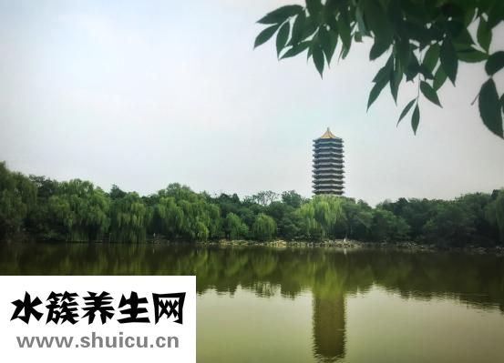 儿童不听话怎么办