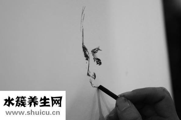 怎么发鲍鱼