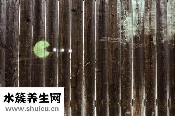 杜蛎怎么吃
