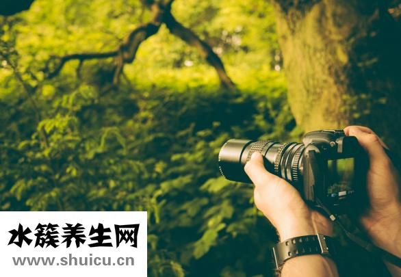 左手颤抖是怎么回事