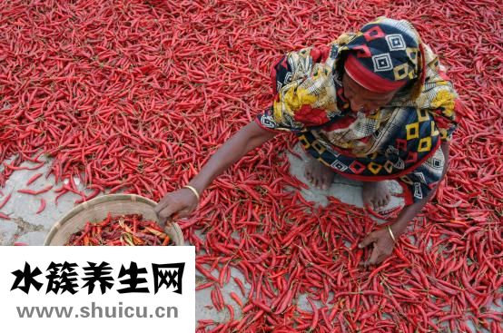 怎么把土豆煮软