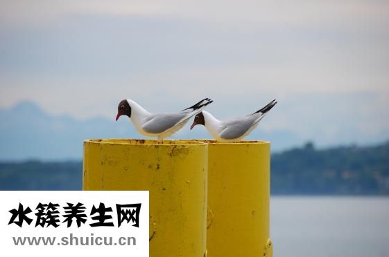 早泄湿巾怎么用