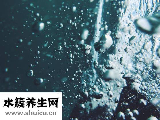 盐精怎么做