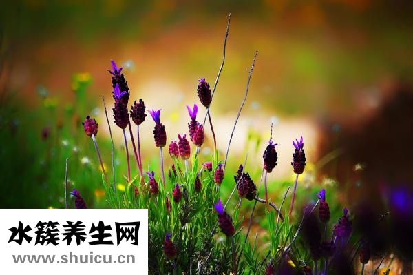 怎么脸部减肥