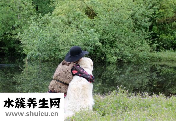 包皮肿了应该怎么办