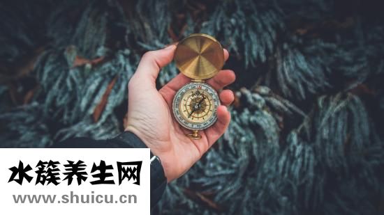 花蛤怎么保存过夜