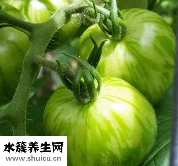牛肉怎么熬汤好喝