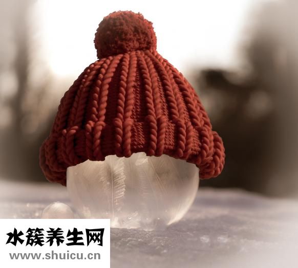 闹狗怎么办