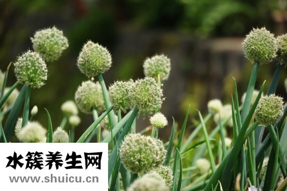 辣肠怎么吃