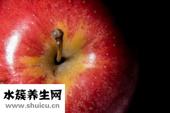 血鹦鹉鱼苗怎么养