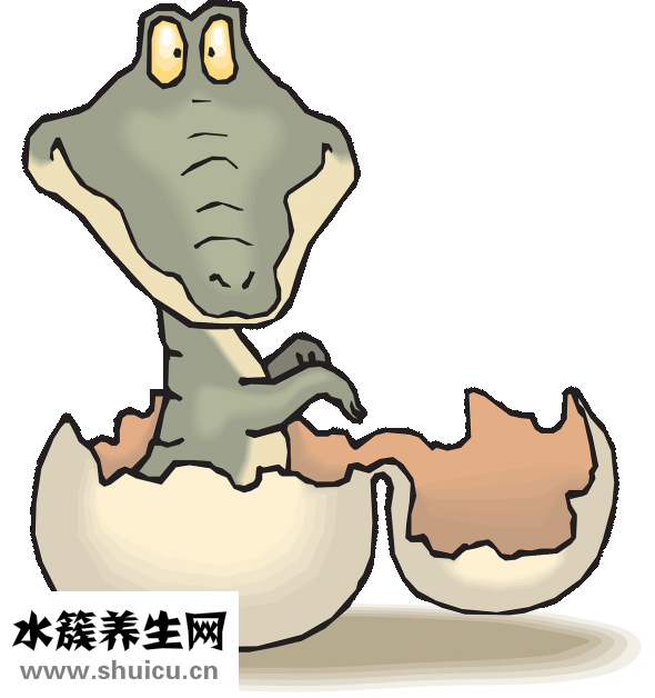 怎么给婴儿洗手