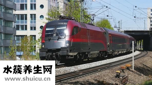 聚会相片木马怎么杀