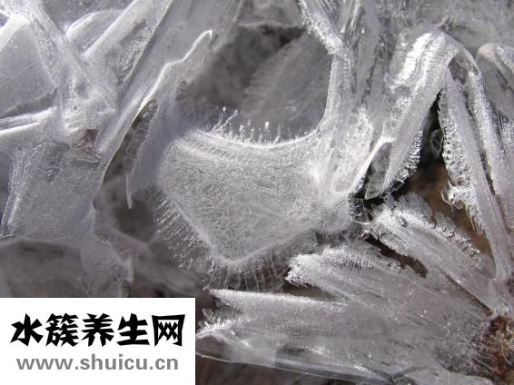 盐怎么结晶