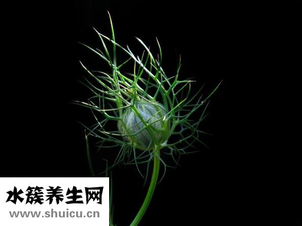 怎么炒鸡不腥