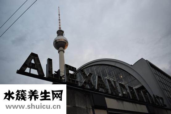 小羊怎么画儿童