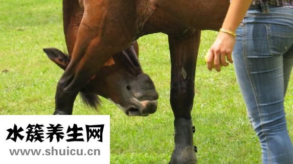 轻瘫试验怎么做