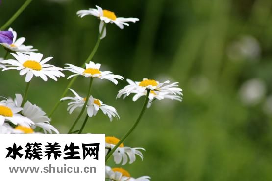 怎么脸部减肥