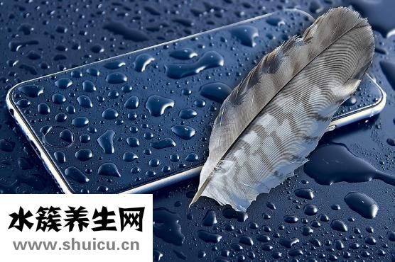 黄芪怎么洗