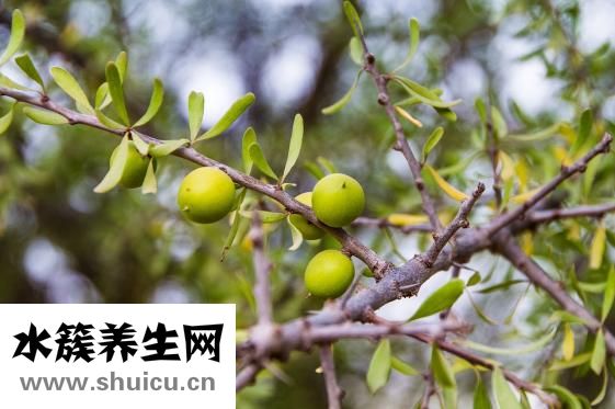 面果怎么做