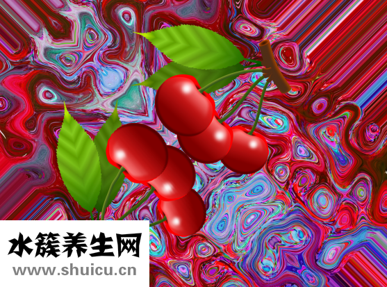 鲔鱼罐头怎么吃