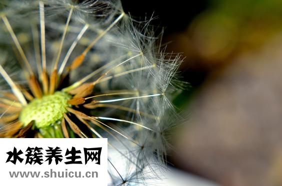 羊胎盘不掉怎么办