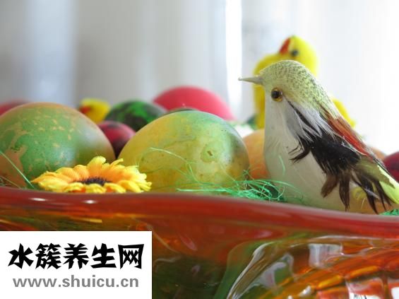 酱油怎么煮