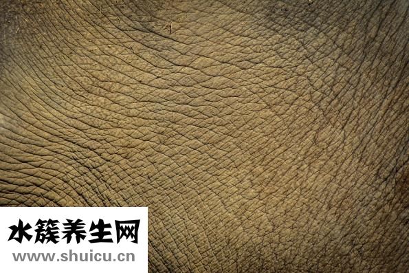 瘦鼻操怎么做