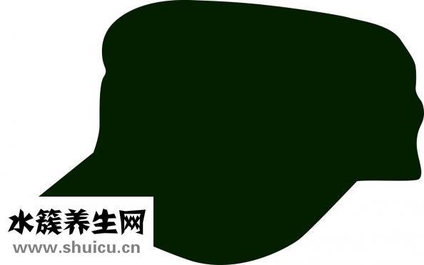 肺子不好怎么调理