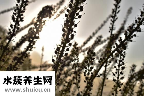 人怎么修炼成魔